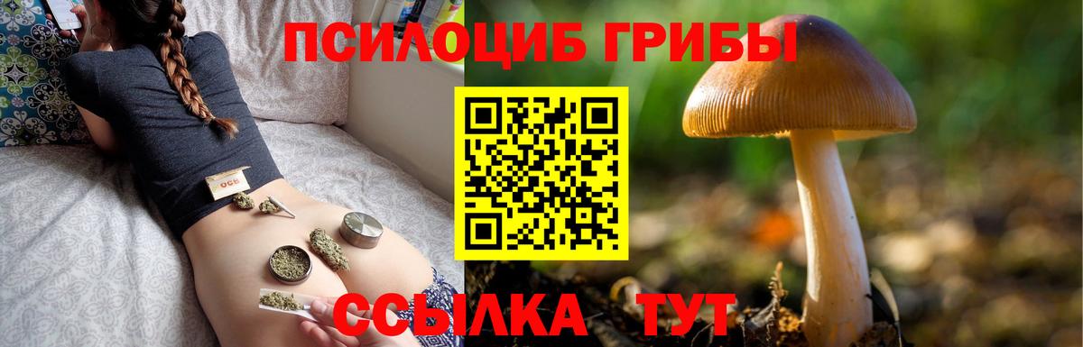 Галлюциногенные грибы прущие грибы Выборг