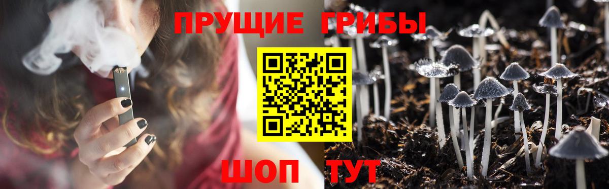 Псилоцибиновые грибы Cubensis  Псилоцибиновые грибы мухоморы  Выборг  Вход с VPN 